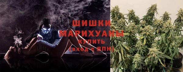 трава Аркадак